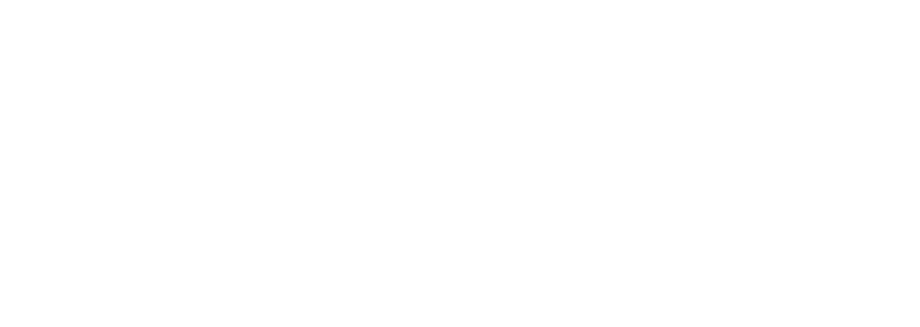 Phoenix Forwarding and Handling